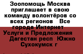 Зоопомощь.Москва приглашает в свою команду волонтёров со всех регионов - Все города Интернет » Услуги и Предложения   . Дагестан респ.,Южно-Сухокумск г.